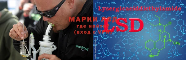 ECSTASY Алзамай