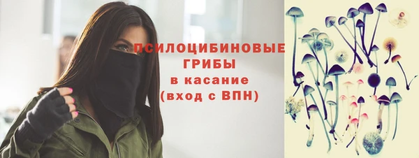 PSILOCYBIN Абинск
