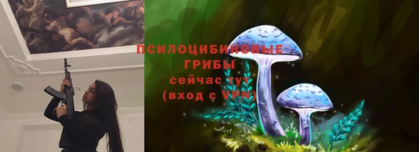 PSILOCYBIN Абинск