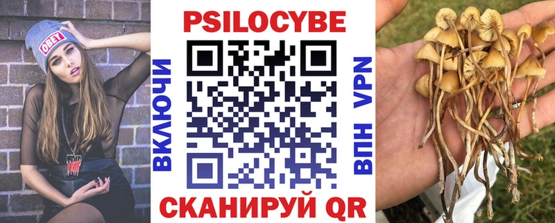 Галлюциногенные грибы Magic Shrooms  Прохладный 