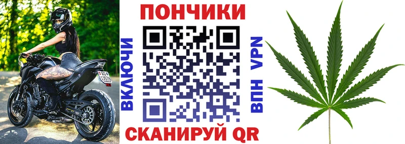 Бошки Шишки ГИДРОПОН  магазин продажи   Прохладный 
